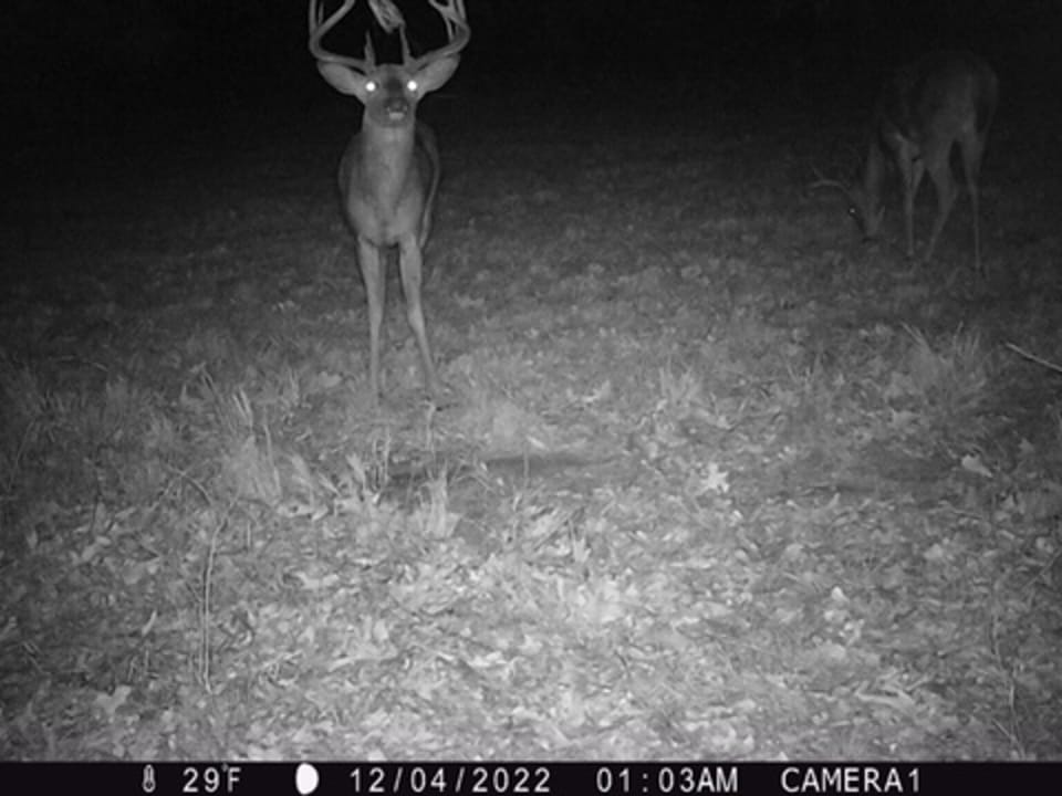 Hardwood Ridge Hunting Farm