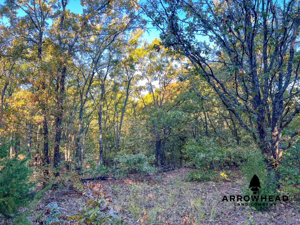 Hardwood Ridge Hunting Farm