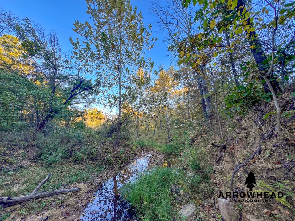 Hardwood Ridge Hunting Farm