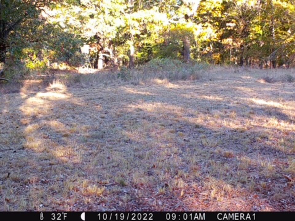 Hardwood Ridge Hunting Farm
