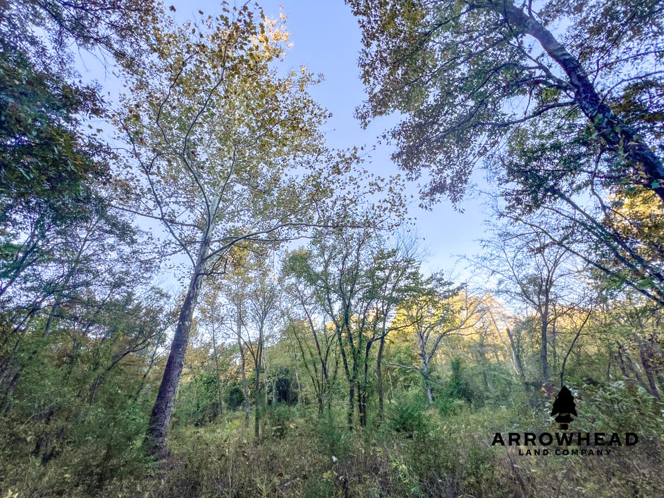 Hardwood Ridge Hunting Farm