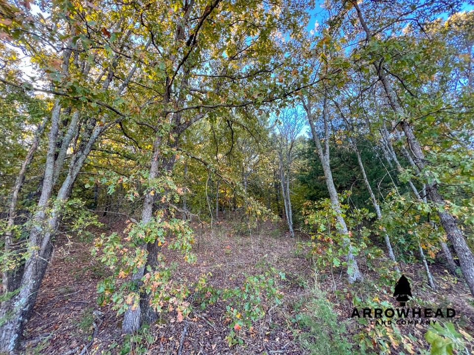 Hardwood Ridge Hunting Farm