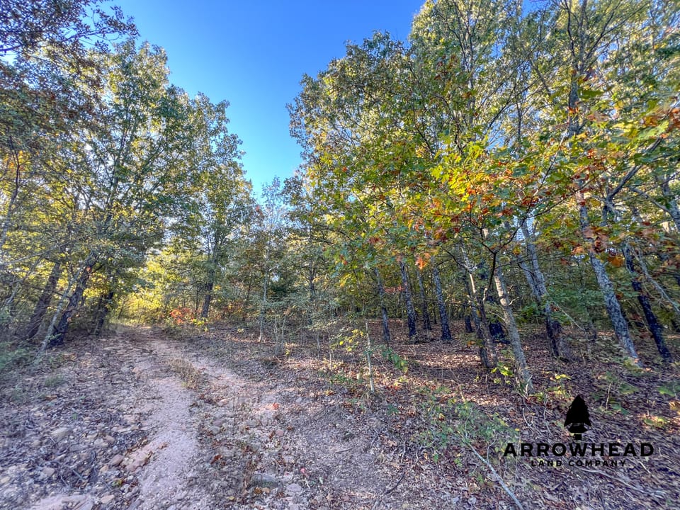 Hardwood Ridge Hunting Farm