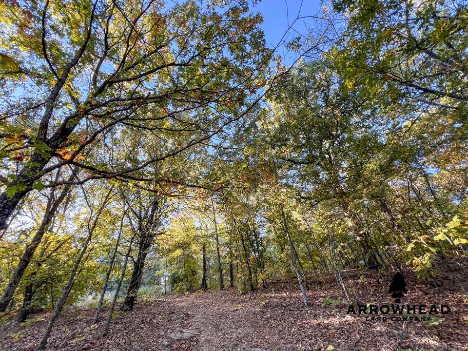 Hardwood Ridge Hunting Farm