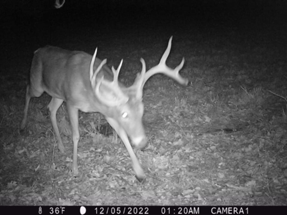 Hardwood Ridge Hunting Farm