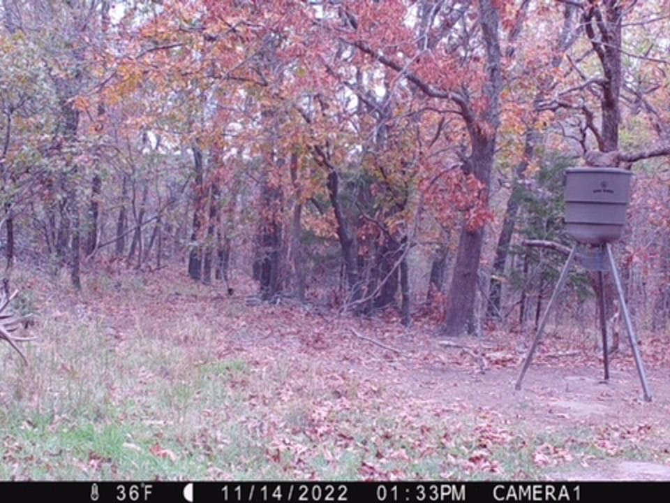 Hardwood Ridge Hunting Farm