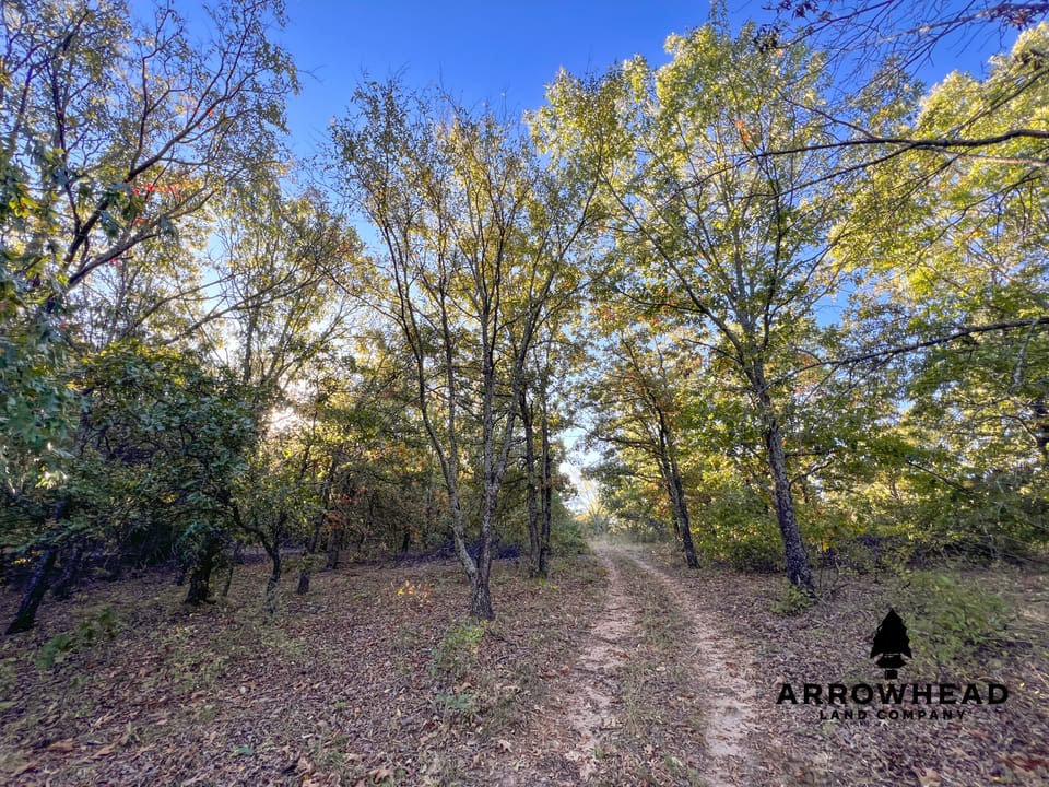 Hardwood Ridge Hunting Farm