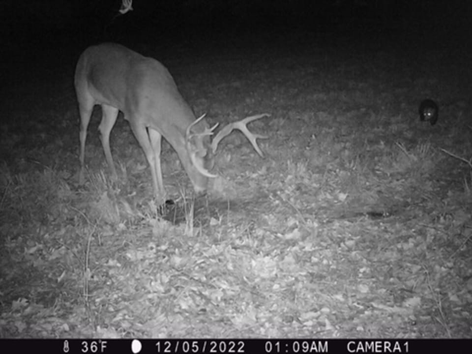 Hardwood Ridge Hunting Farm