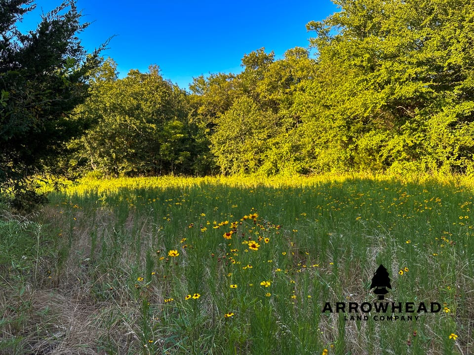 East Tract Hunting/Grazing