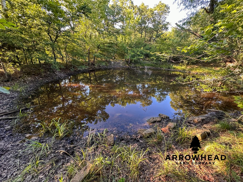 East Tract Hunting/Grazing