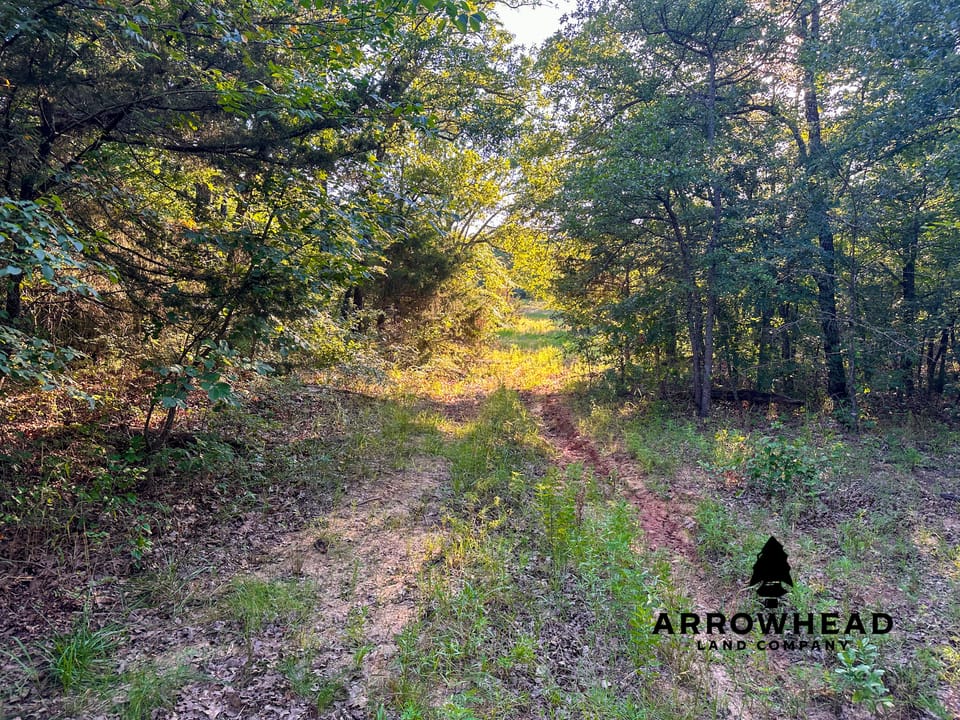 East Tract Hunting/Grazing
