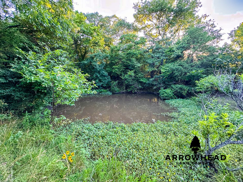 East Tract Hunting/Grazing