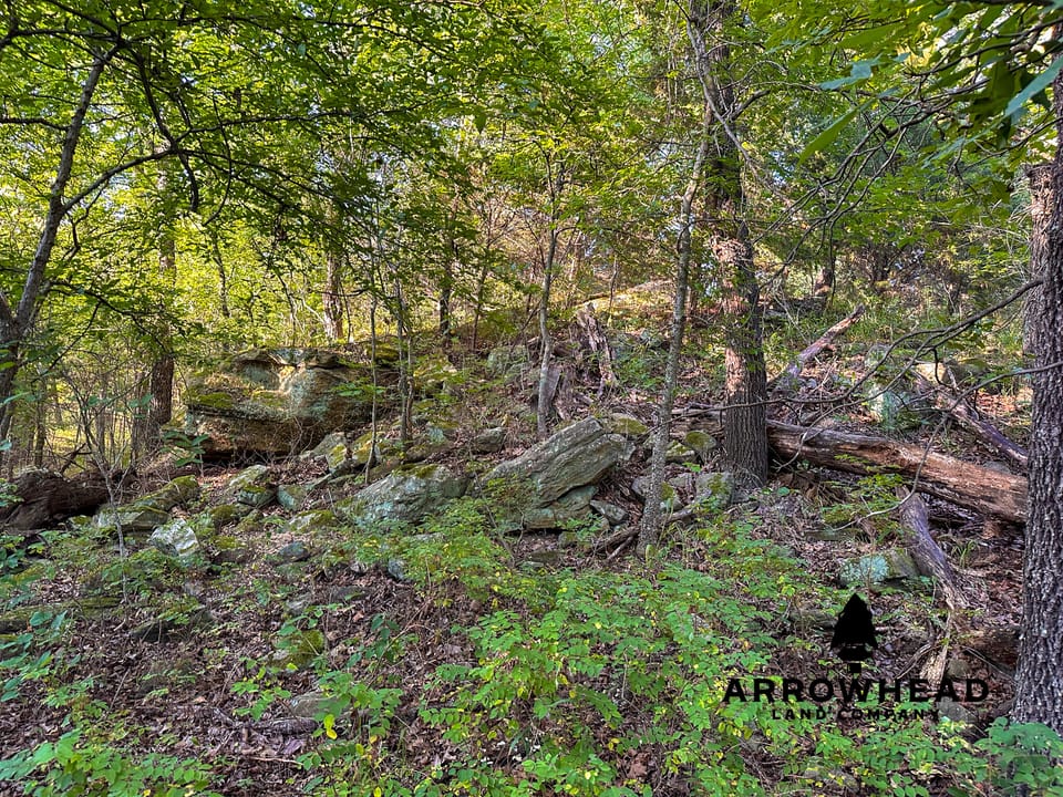 East Tract Hunting/Grazing