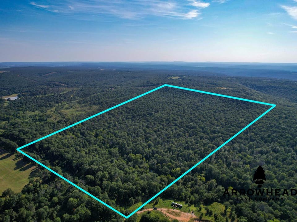Timber Hunting with Elevated Topography
