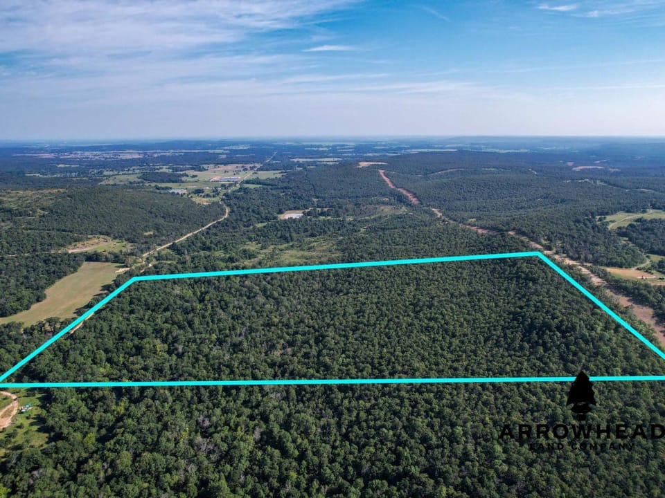 Timber Hunting with Elevated Topography