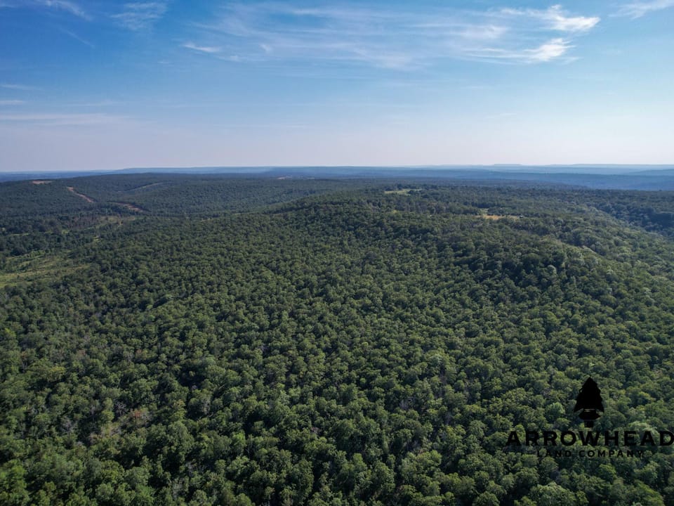 Timber Hunting with Elevated Topography