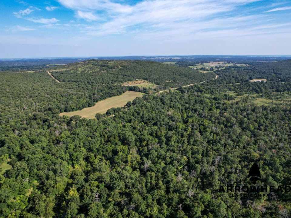 Timber Hunting with Elevated Topography