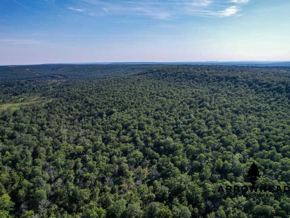 Timber Hunting with Elevated Topography