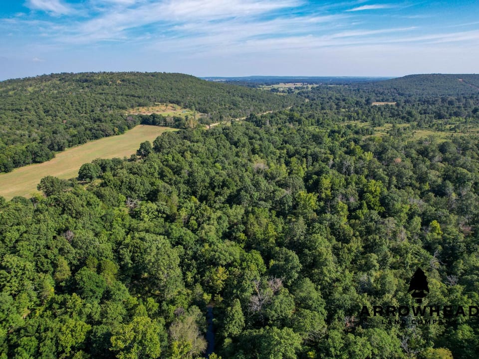 Timber Hunting with Elevated Topography