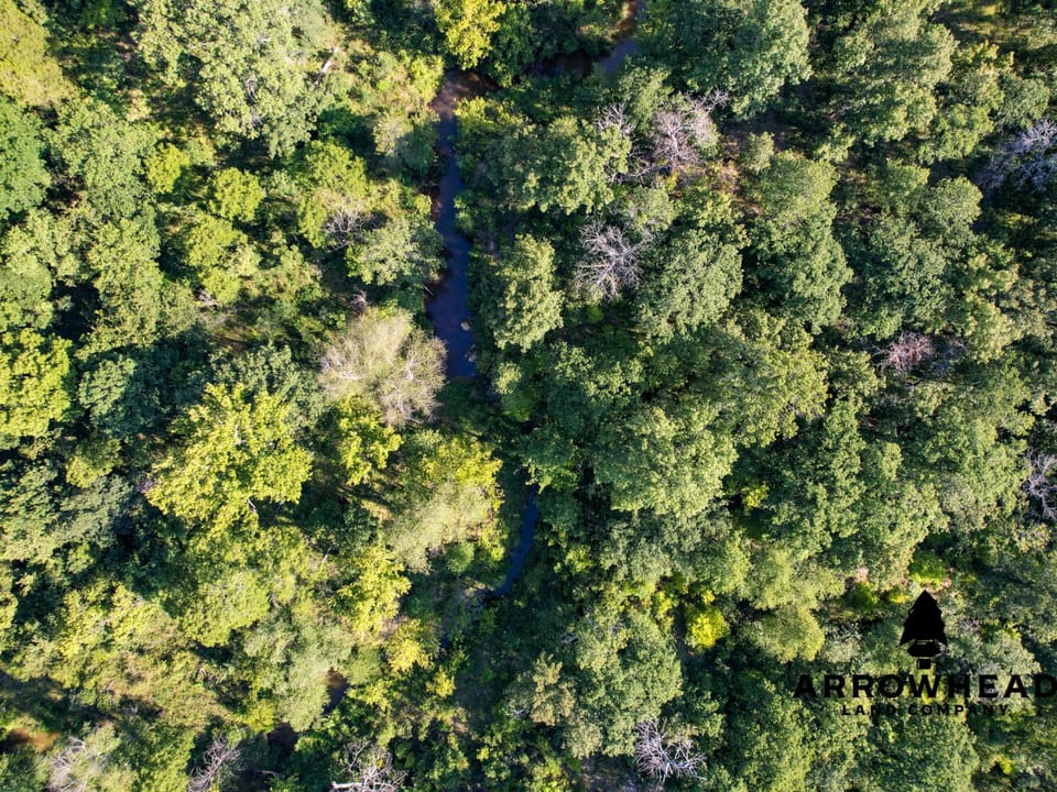 Timber Hunting with Elevated Topography