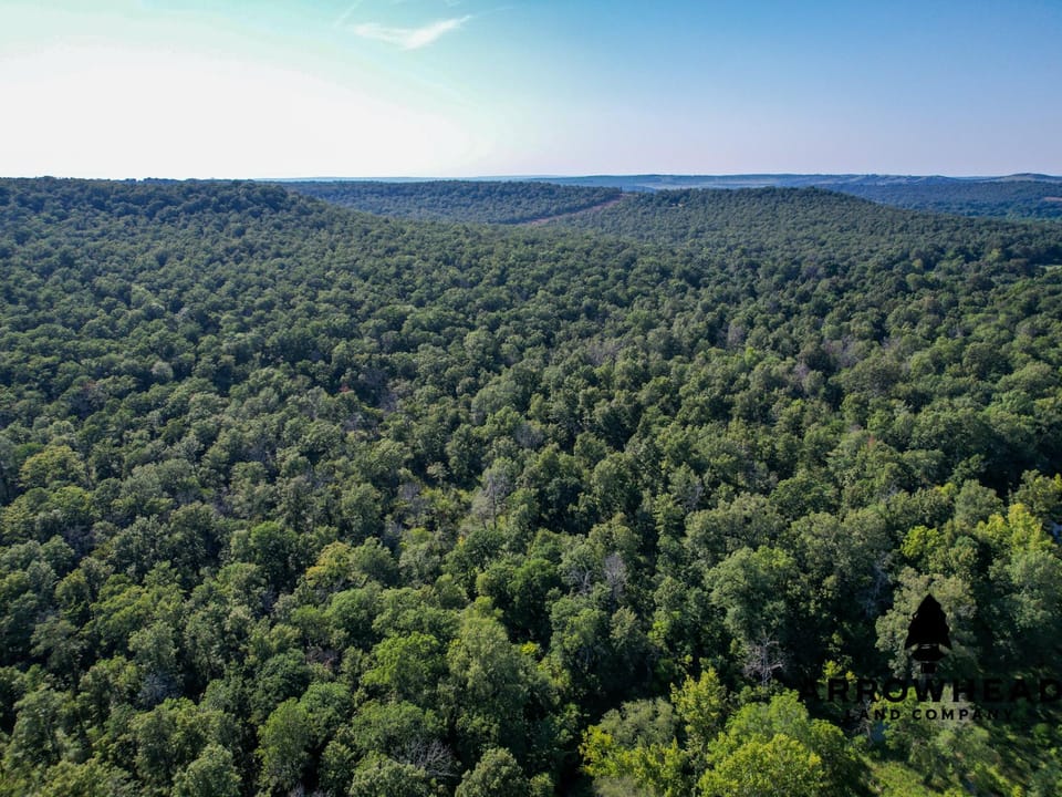 Timber Hunting with Elevated Topography