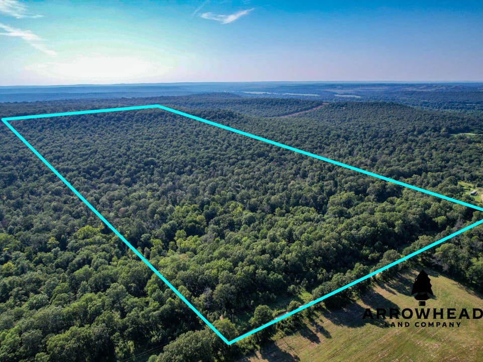 Timber Hunting with Elevated Topography