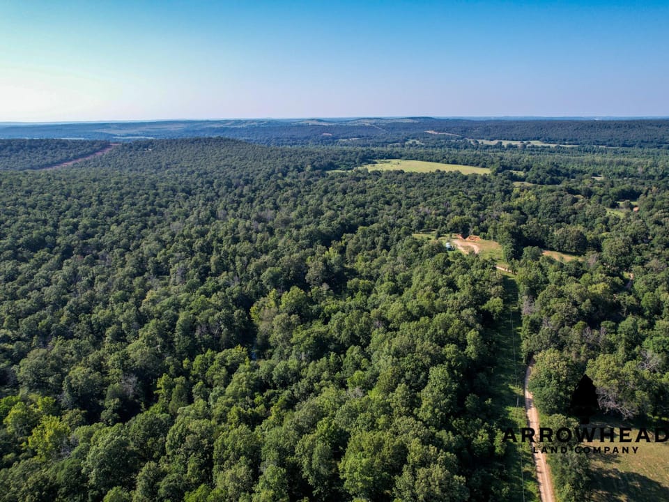 Timber Hunting with Elevated Topography