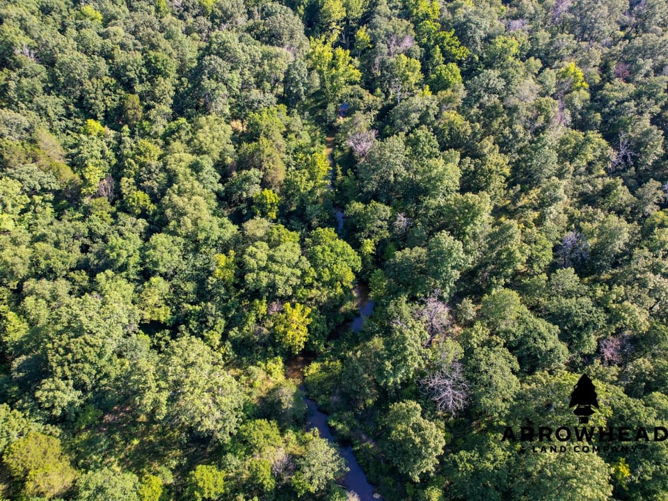 Timber Hunting with Elevated Topography