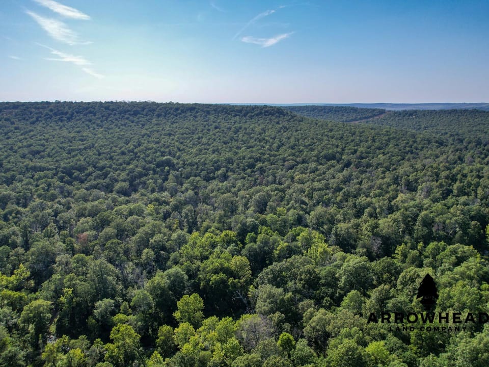 Timber Hunting with Elevated Topography