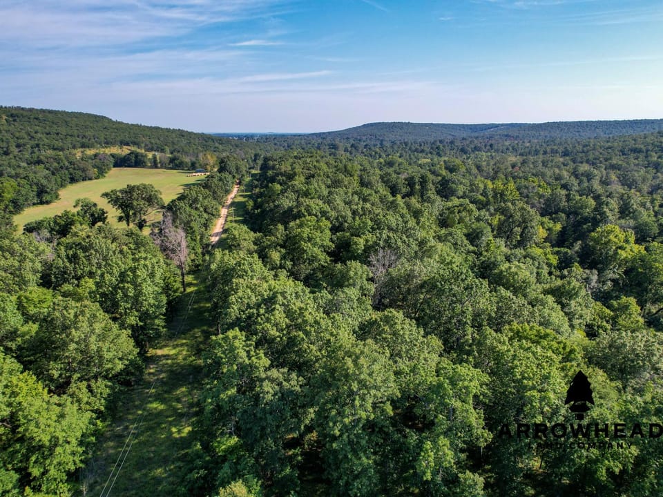Timber Hunting with Elevated Topography