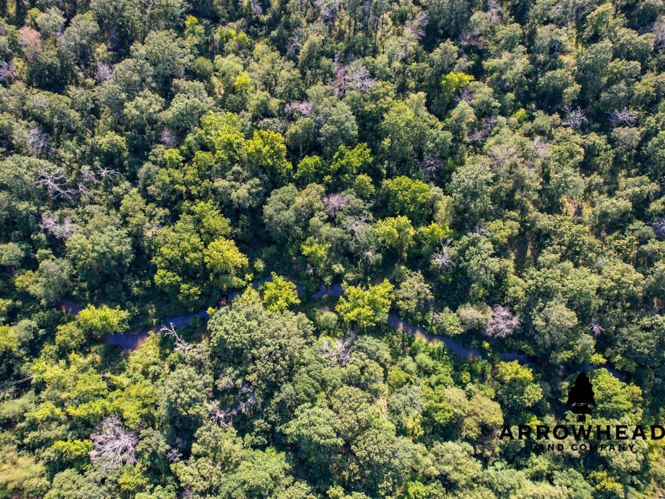 Timber Hunting with Elevated Topography