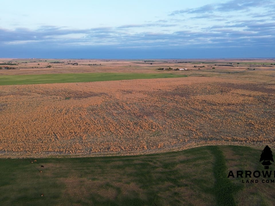 Gypsum Hills CRP Paradise