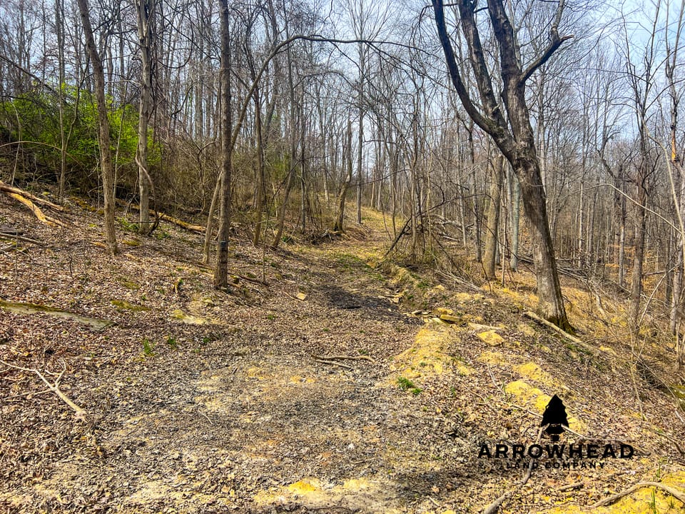 Maxey Flat Hunting Property