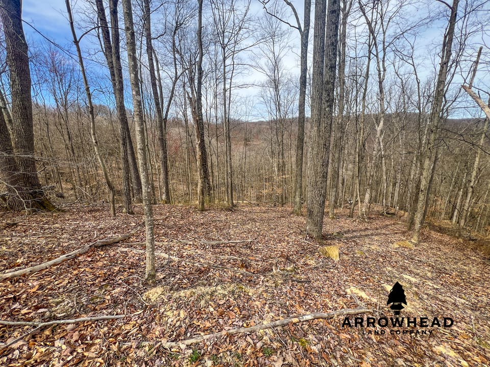 Maxey Flat Hunting Property