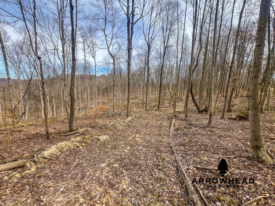 Maxey Flat Hunting Property