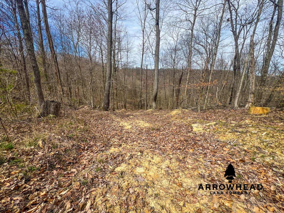 Maxey Flat Hunting Property