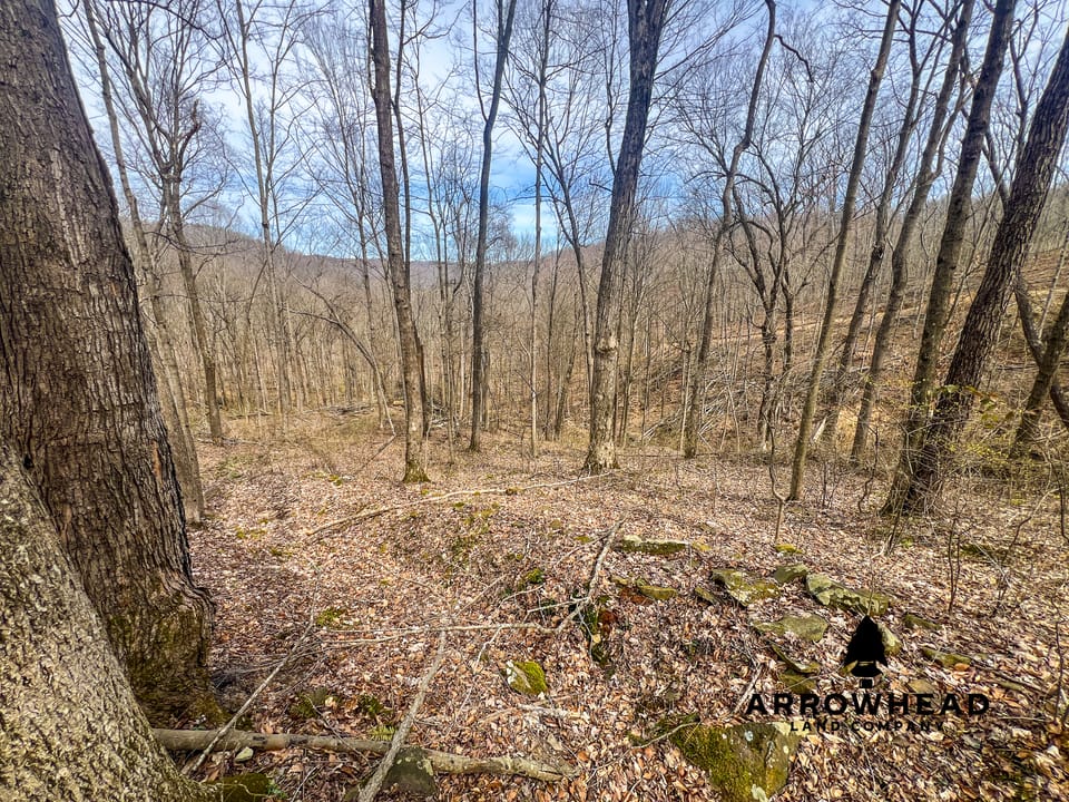 Maxey Flat Hunting Property