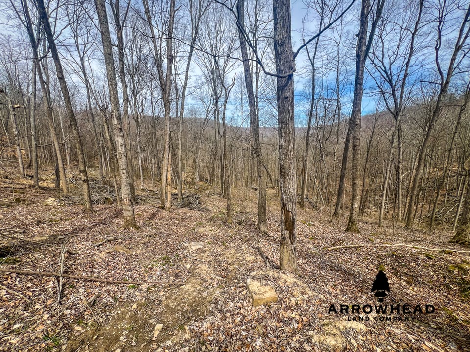 Maxey Flat Hunting Property
