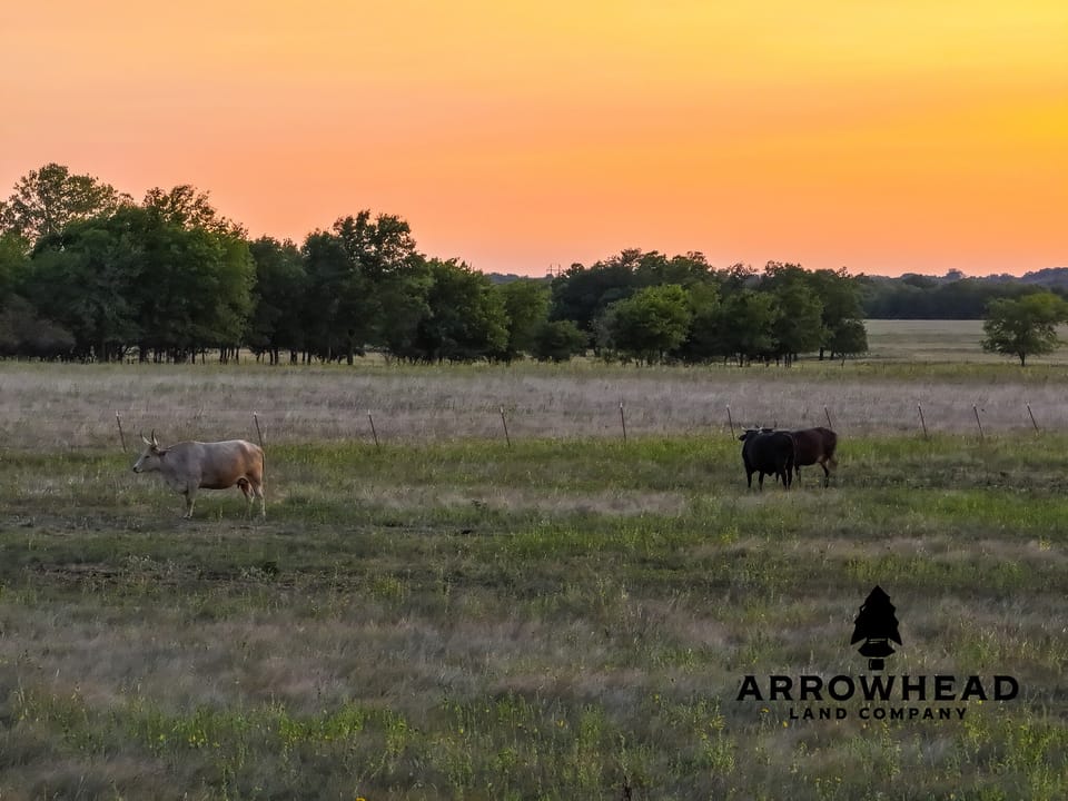 Gold Pasture Homesite