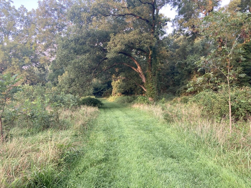 Rural Living & Hunting Opportunity