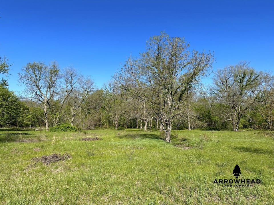 Rural Living & Hunting Opportunity