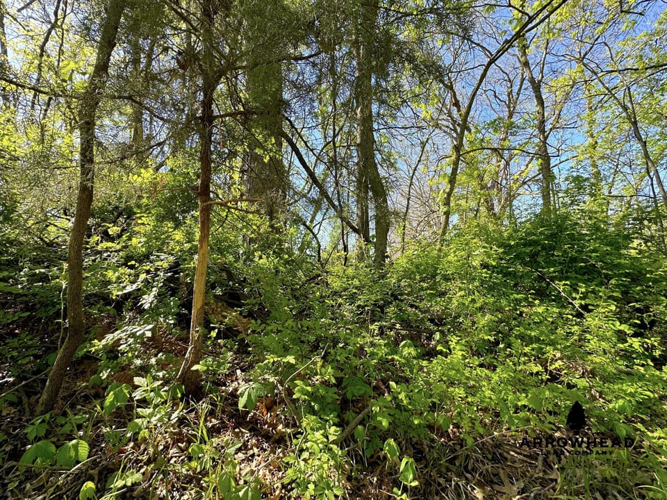 Rural Living & Hunting Opportunity