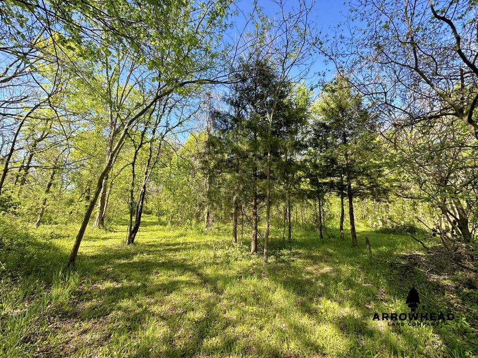 Rural Living & Hunting Opportunity