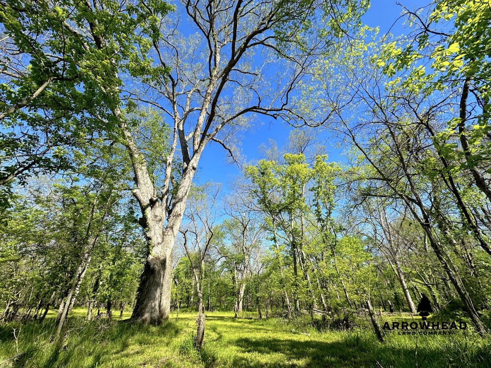 Rural Living & Hunting Opportunity
