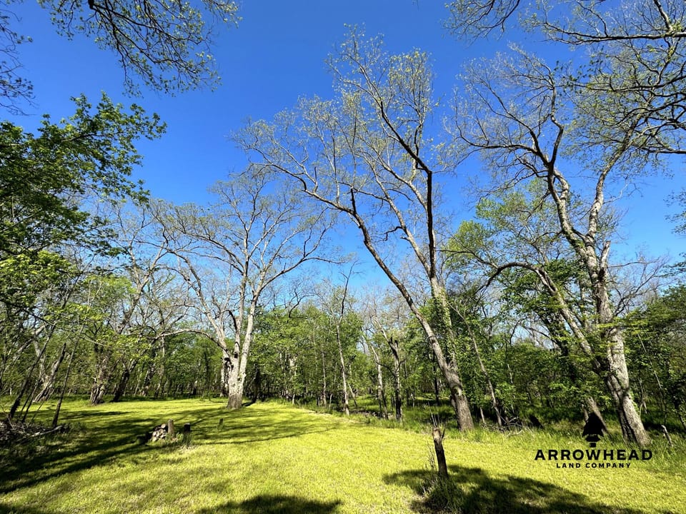 Rural Living & Hunting Opportunity