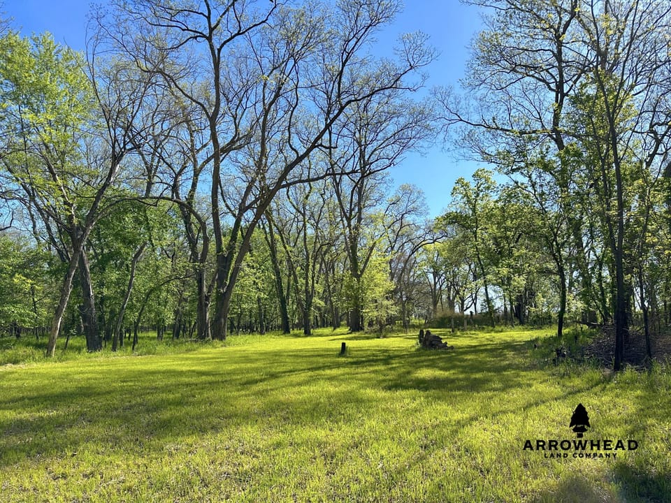 Rural Living & Hunting Opportunity