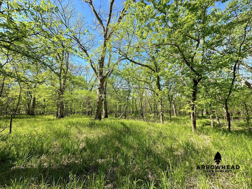 Rural Living & Hunting Opportunity