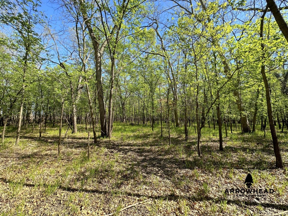 Rural Living & Hunting Opportunity