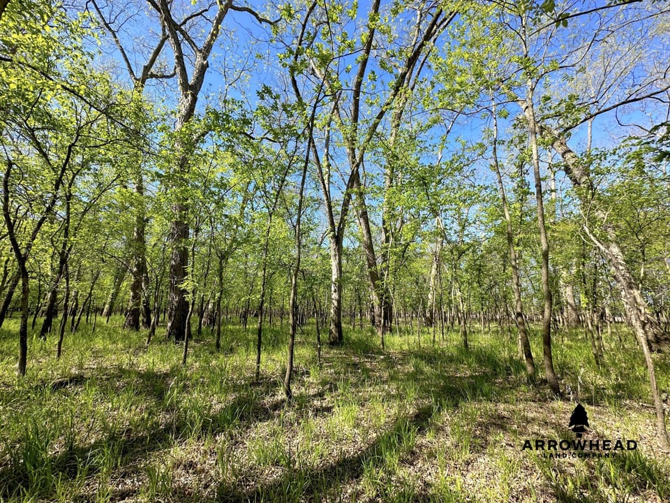 Rural Living & Hunting Opportunity