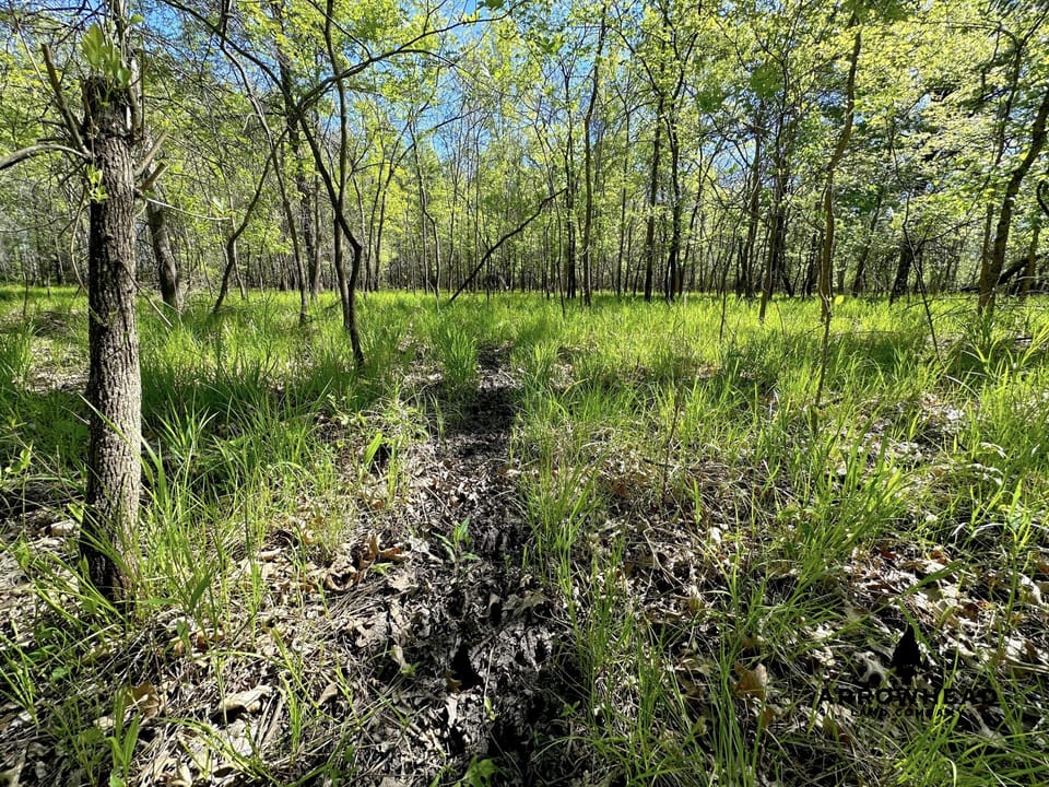 Rural Living & Hunting Opportunity